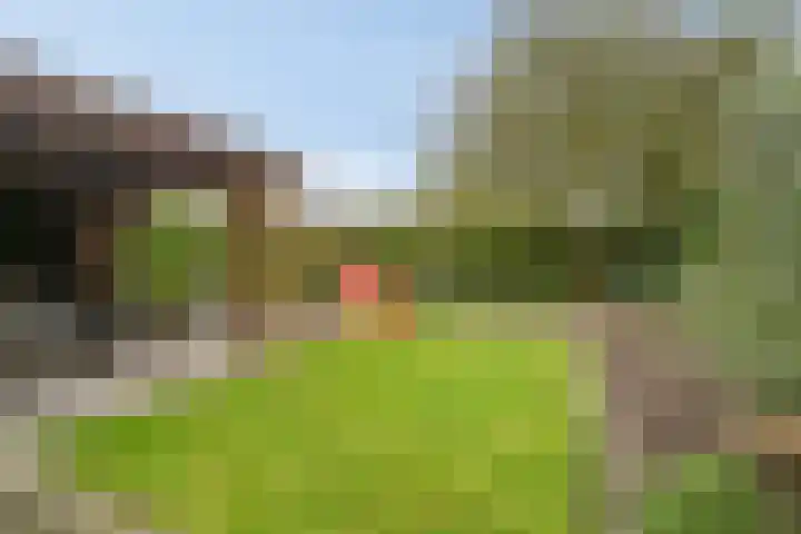 De Snit 13 Swifterbant thumbnail 36