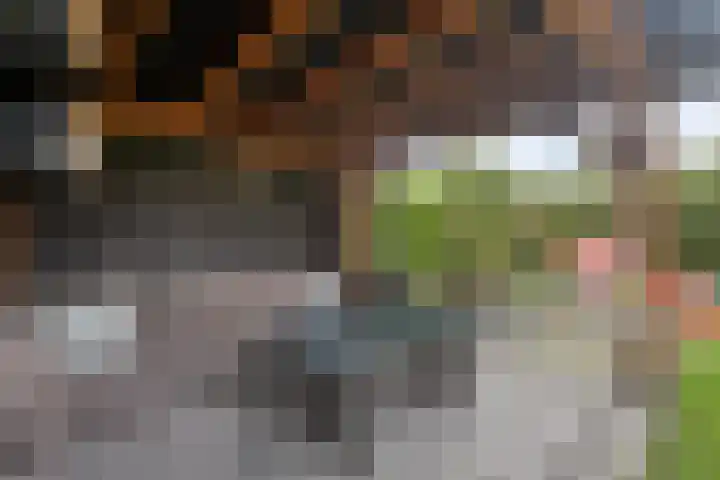 De Snit 13 Swifterbant thumbnail 37