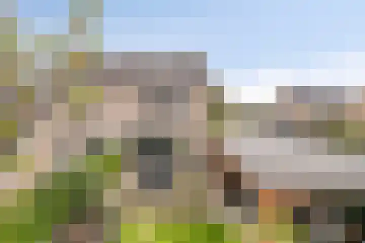 De Snit 13 Swifterbant thumbnail 40