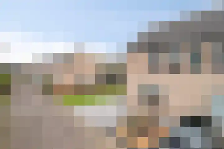De Snit 13 Swifterbant thumbnail 43
