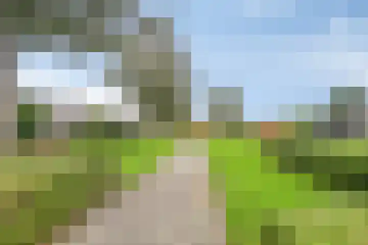 De Snit 13 Swifterbant thumbnail 45