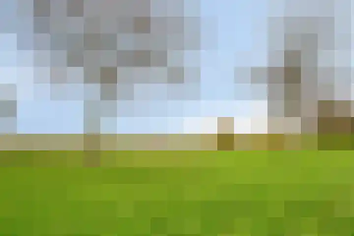 De Snit 13 Swifterbant thumbnail 46