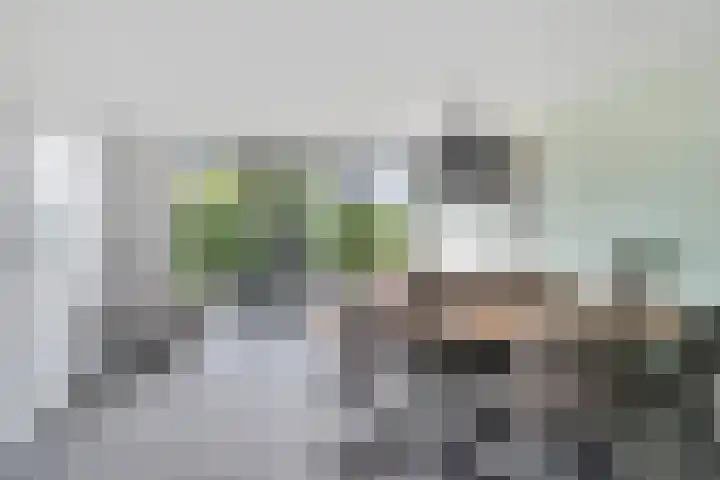 De Snit 13 Swifterbant thumbnail 8