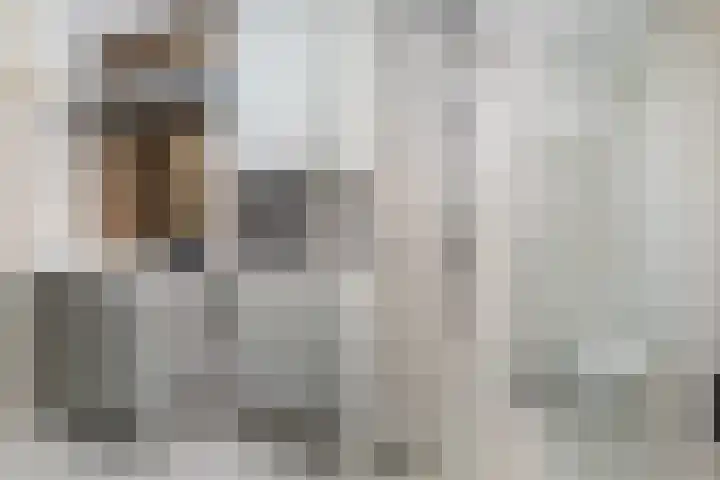 De Snit 18 Swifterbant thumbnail 13