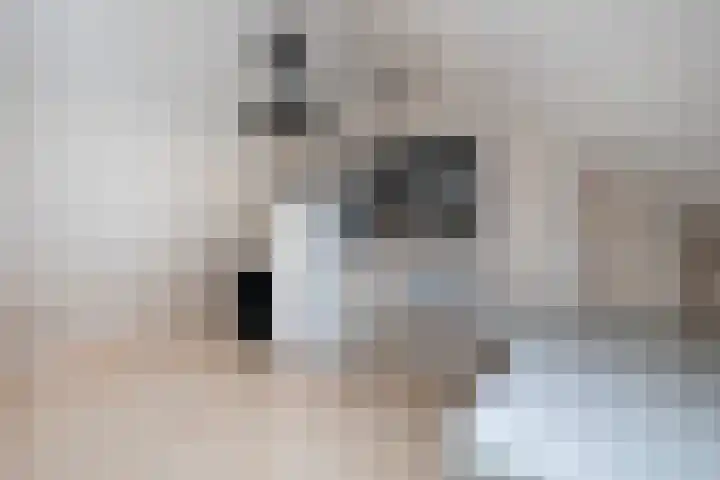 De Snit 18 Swifterbant thumbnail 15