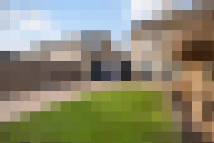 De Snit 18 Swifterbant thumbnail 17