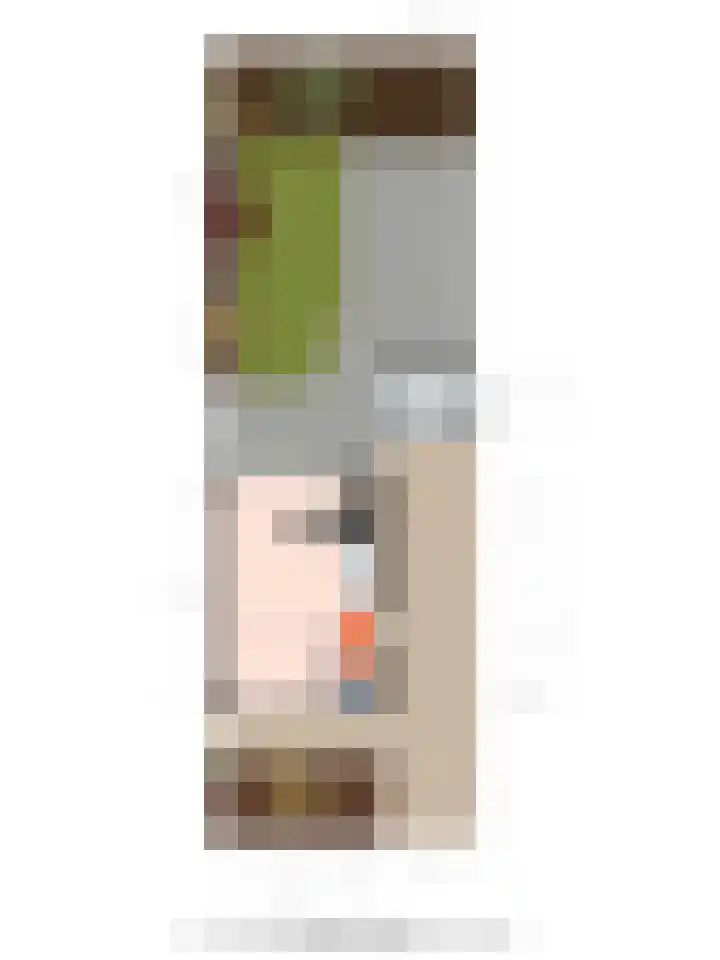 De Snit 18 Swifterbant thumbnail 21