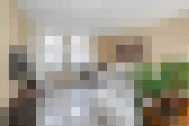 De Snit 18 Swifterbant thumbnail 4