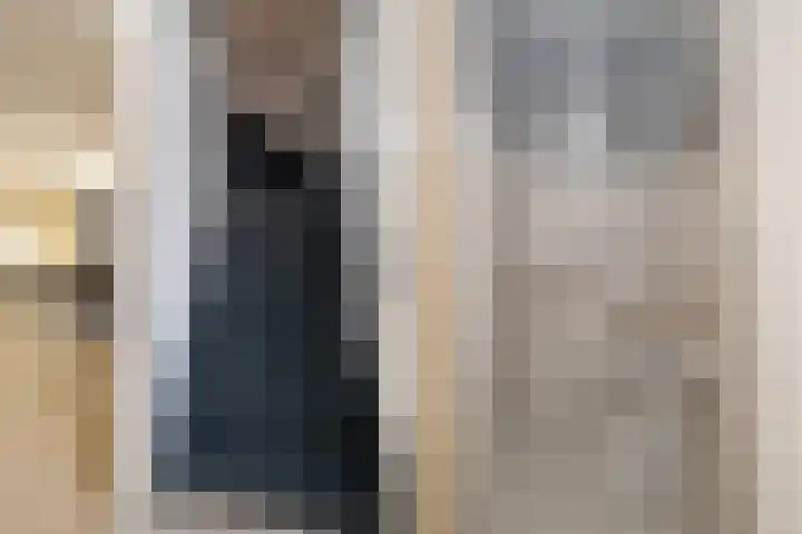 De Snit 18 Swifterbant thumbnail 8