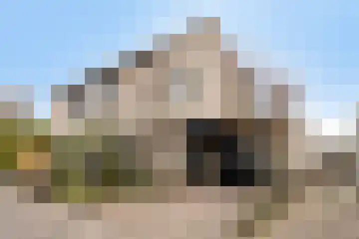 De Snit 6 Swifterbant