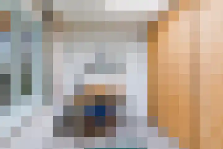 De Snit 6 Swifterbant thumbnail 20