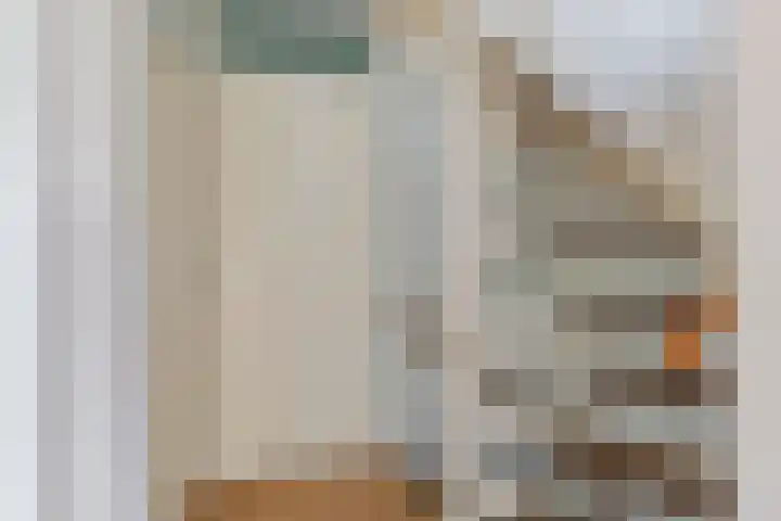 De Snit 6 Swifterbant thumbnail 22