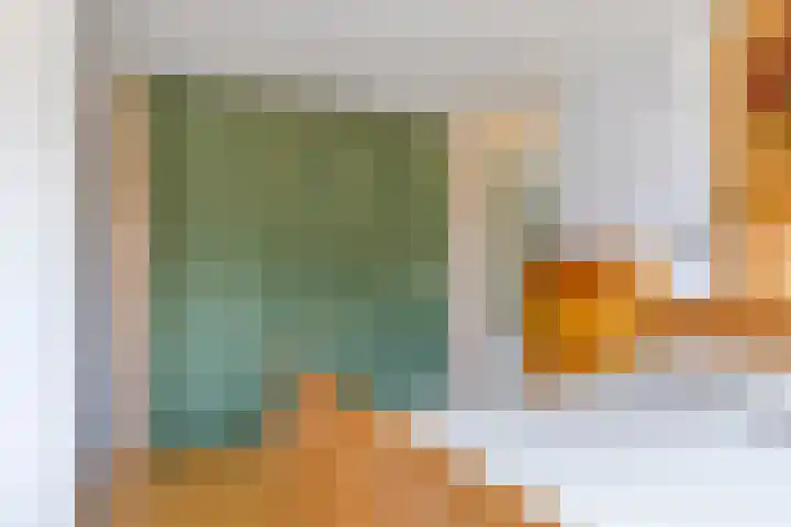De Snit 6 Swifterbant thumbnail 24