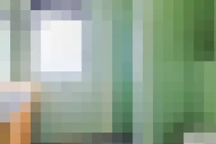 De Snit 6 Swifterbant thumbnail 27