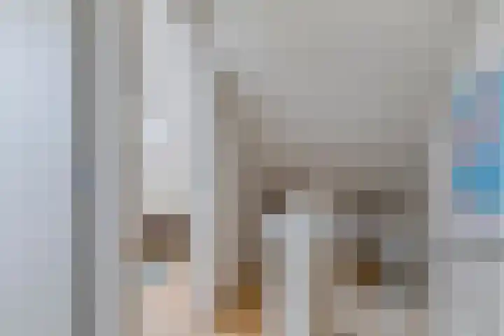 De Snit 6 Swifterbant thumbnail 29