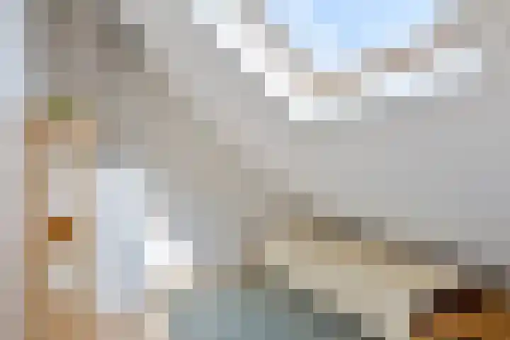 De Snit 6 Swifterbant thumbnail 30