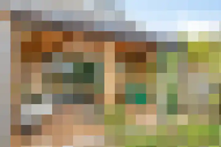 De Snit 6 Swifterbant thumbnail 32