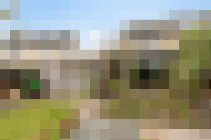 De Snit 6 Swifterbant thumbnail 33