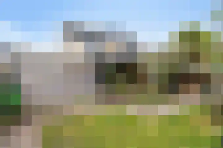 De Snit 6 Swifterbant thumbnail 34