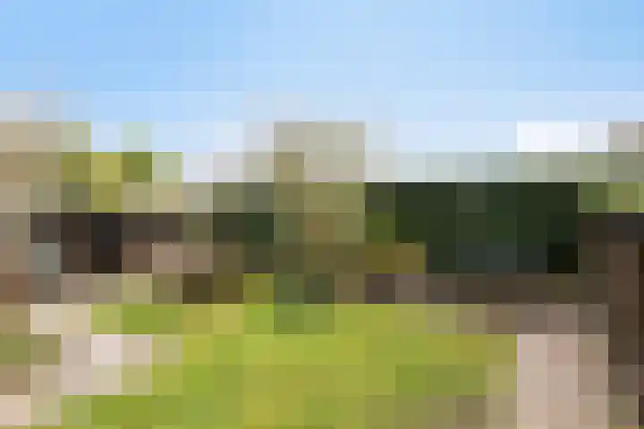 De Snit 6 Swifterbant thumbnail 35