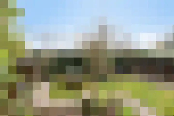 De Snit 6 Swifterbant thumbnail 36