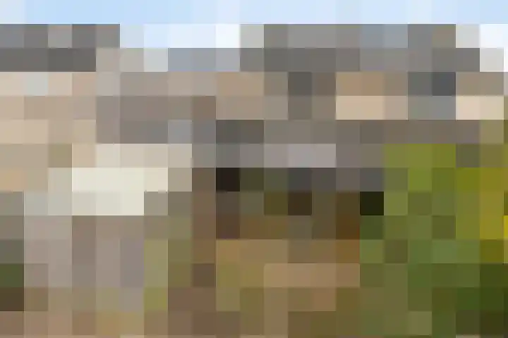 De Snit 6 Swifterbant thumbnail 38