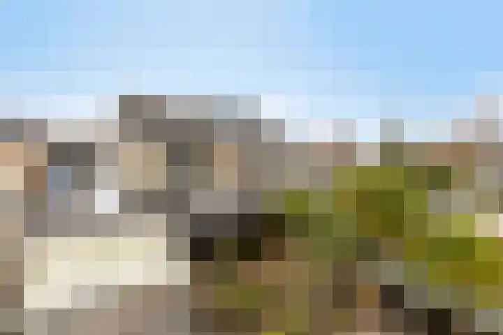 De Snit 6 Swifterbant thumbnail 39