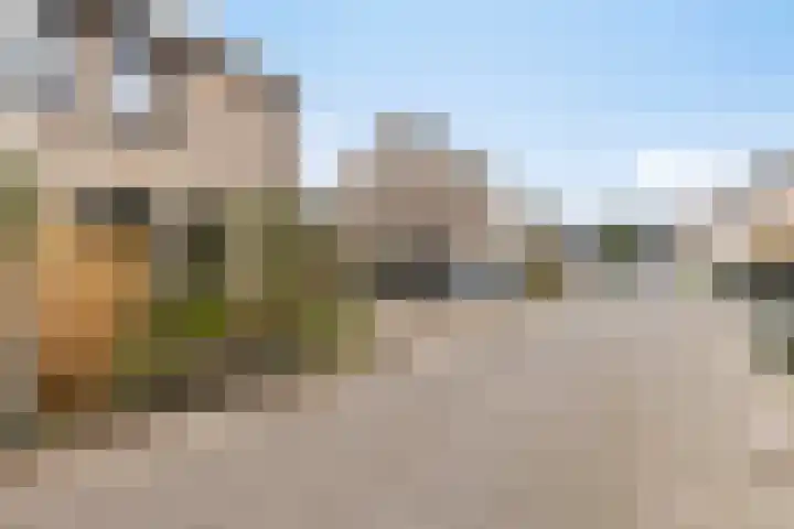 De Snit 6 Swifterbant thumbnail 40