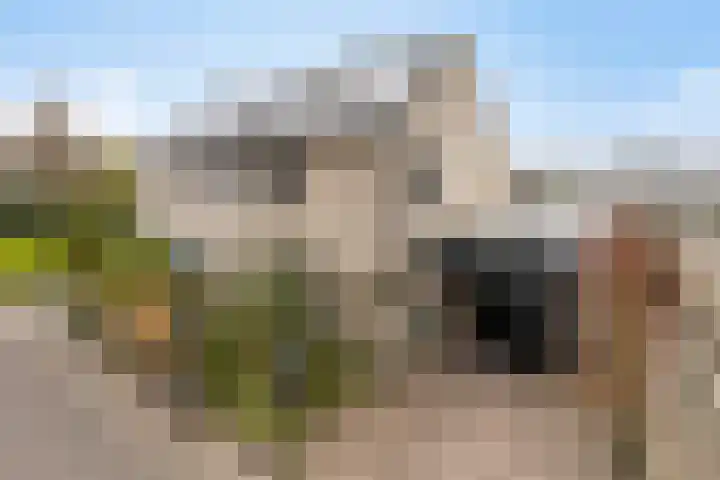 De Snit 6 Swifterbant thumbnail 5