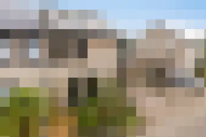 De Snit 6 Swifterbant thumbnail 6