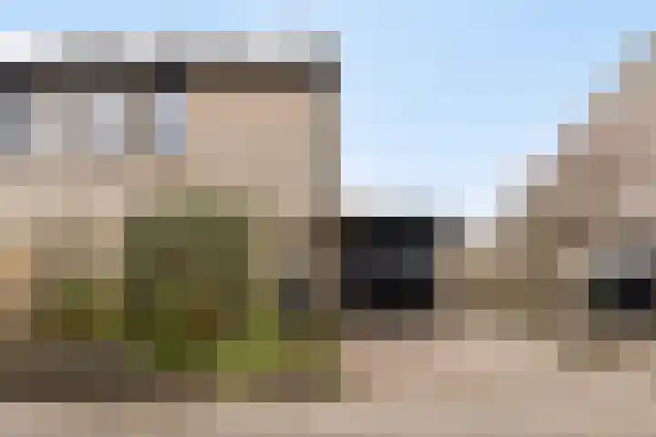 De Snit 6 Swifterbant thumbnail 7