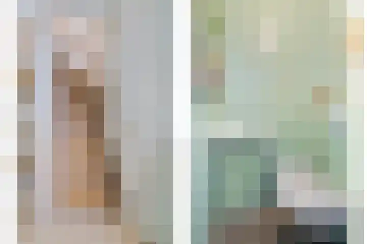 De Snit 6 Swifterbant thumbnail 8