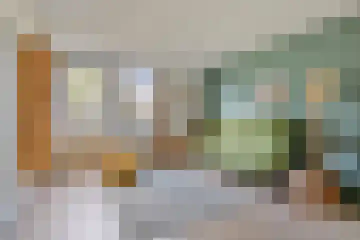 De Snit 6 Swifterbant thumbnail 9