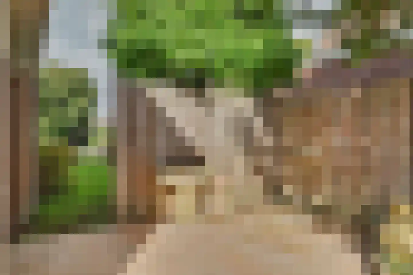 De Snoekbaars 13 Tuitjenhorn thumbnail 33