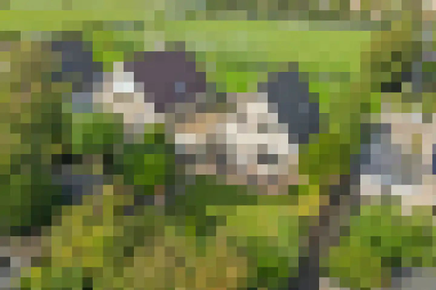 De Snoekbaars 13 Tuitjenhorn thumbnail 37
