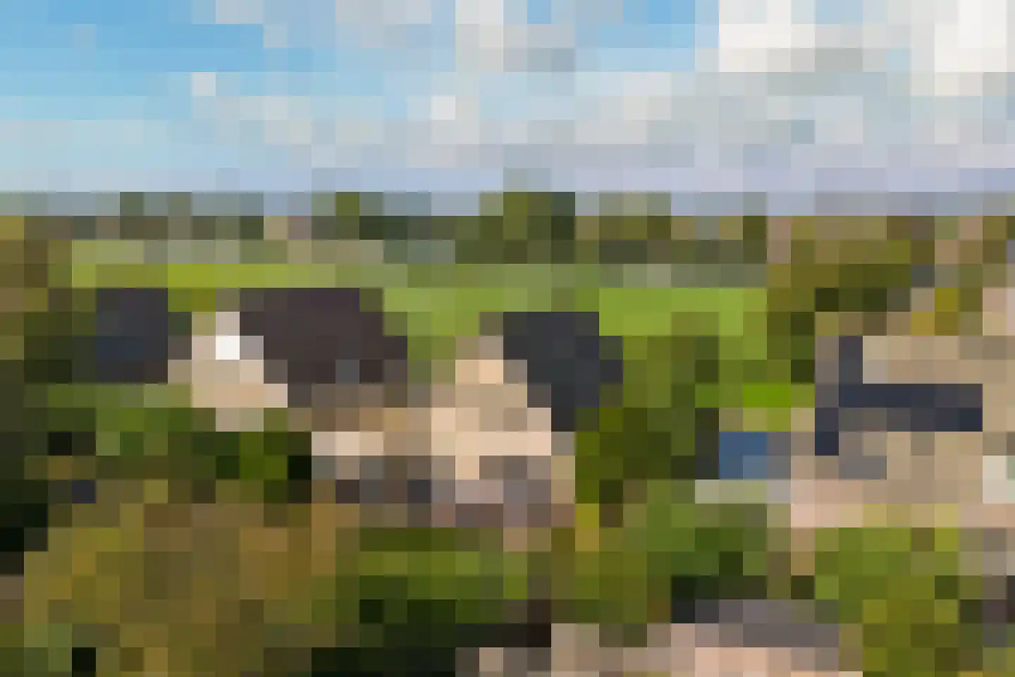 De Snoekbaars 13 Tuitjenhorn thumbnail 38