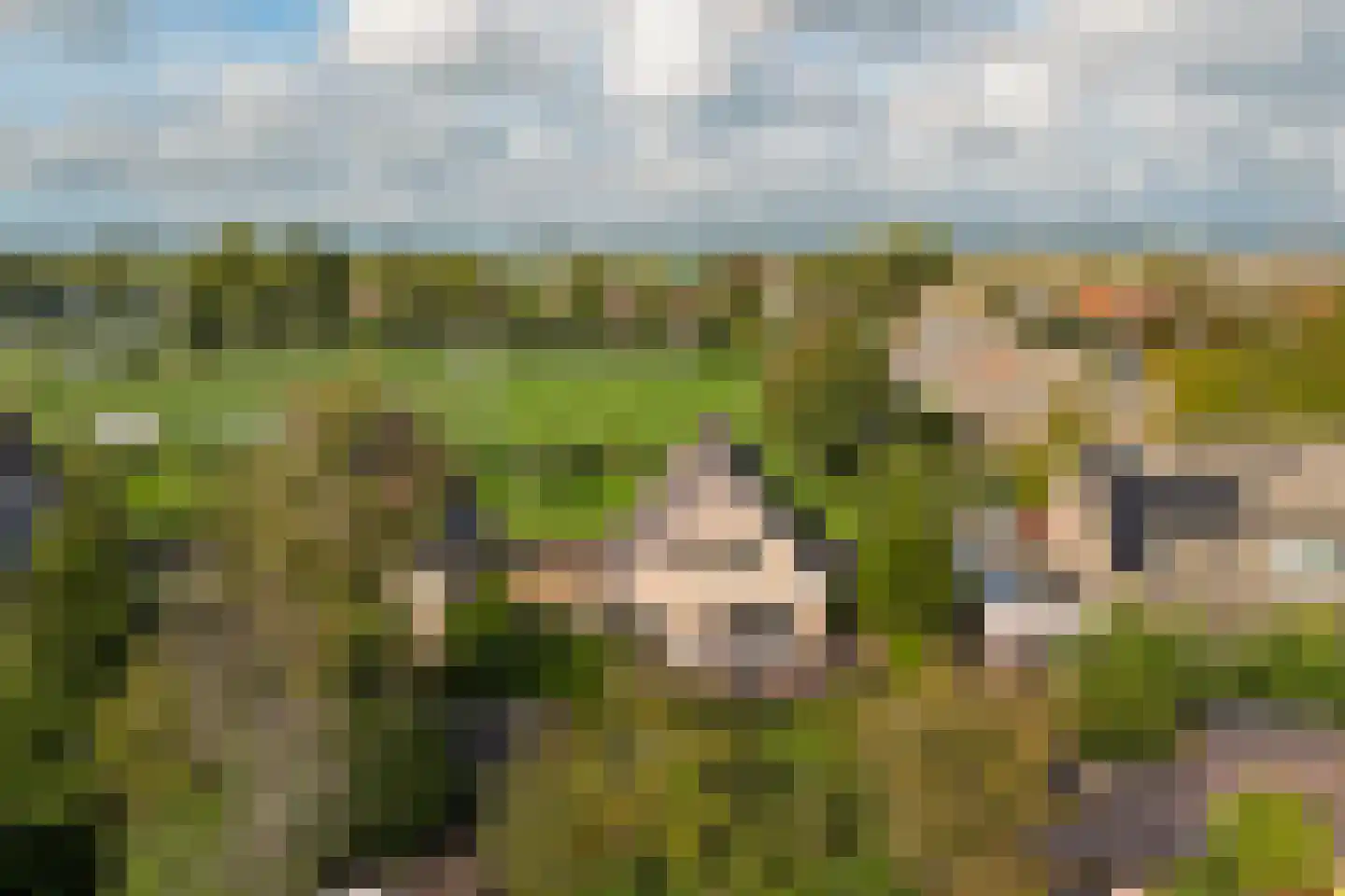 De Snoekbaars 13 Tuitjenhorn thumbnail 39