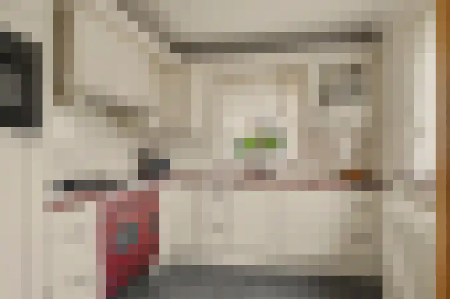 De Snoekbaars 13 Tuitjenhorn thumbnail 4