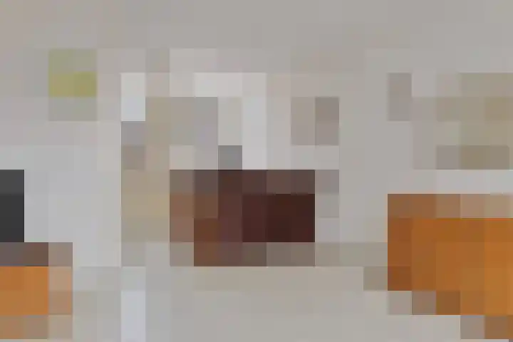 de Snoekbaars 29 Bergschenhoek thumbnail 10