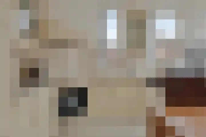 de Snoekbaars 29 Bergschenhoek thumbnail 11