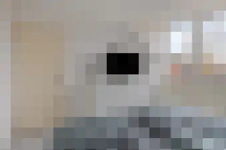 de Snoekbaars 29 Bergschenhoek thumbnail 18