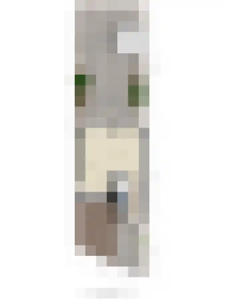 de Snoekbaars 29 Bergschenhoek thumbnail 31