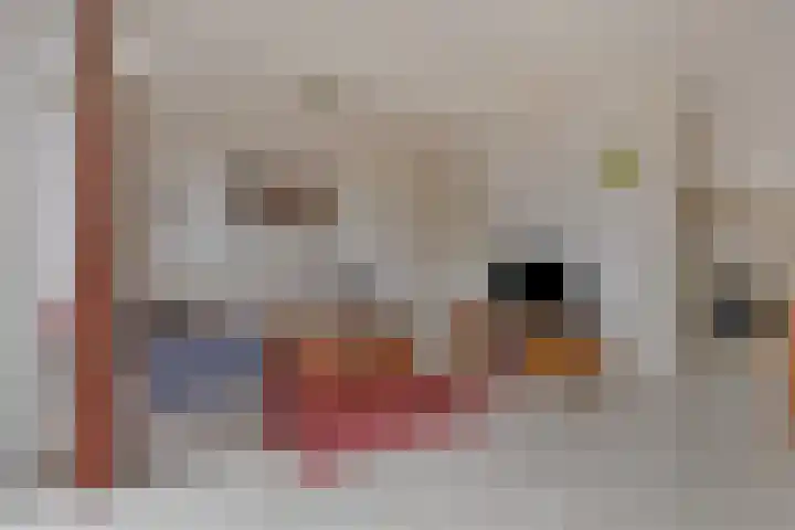 de Snoekbaars 29 Bergschenhoek thumbnail 6