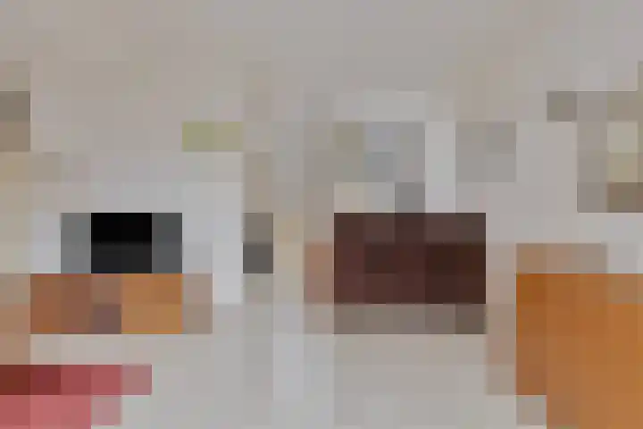de Snoekbaars 29 Bergschenhoek thumbnail 9