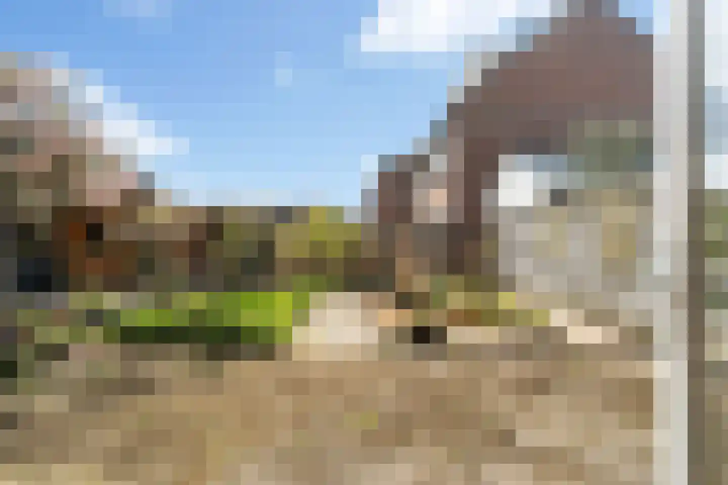 de Snoekbaars 47 Bergschenhoek thumbnail 19