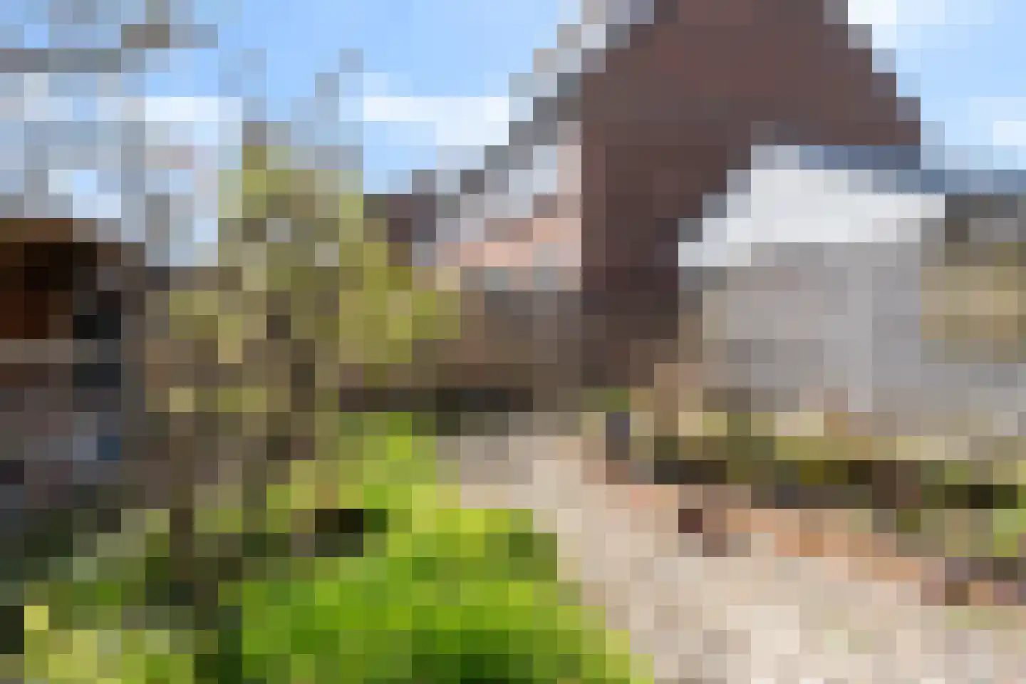 de Snoekbaars 47 Bergschenhoek thumbnail 20