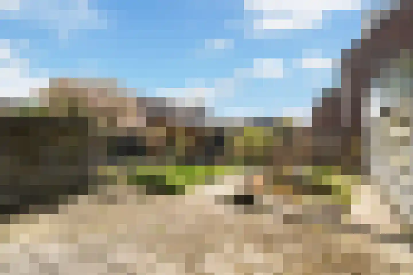 de Snoekbaars 47 Bergschenhoek thumbnail 21