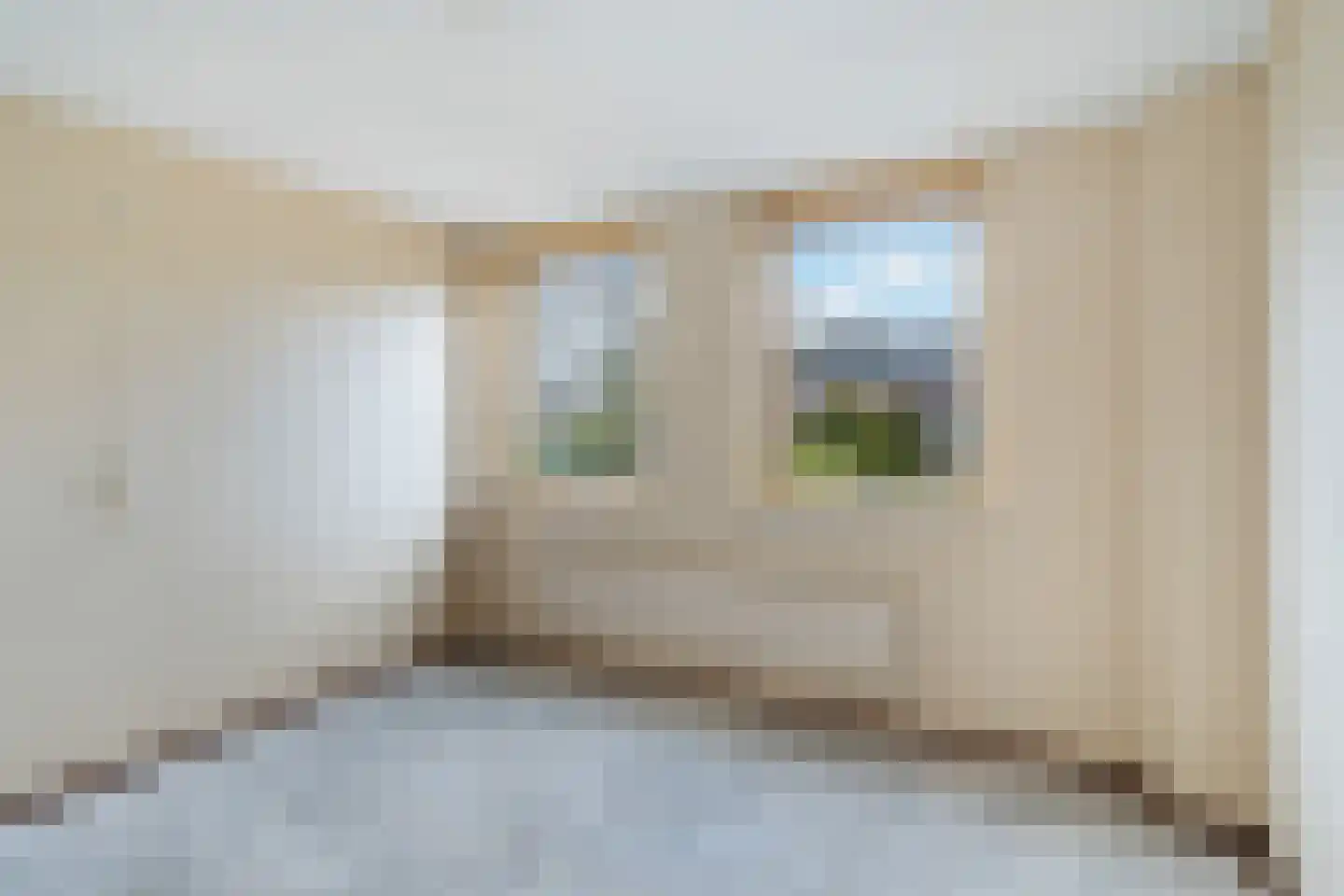 de Snoekbaars 47 Bergschenhoek thumbnail 30