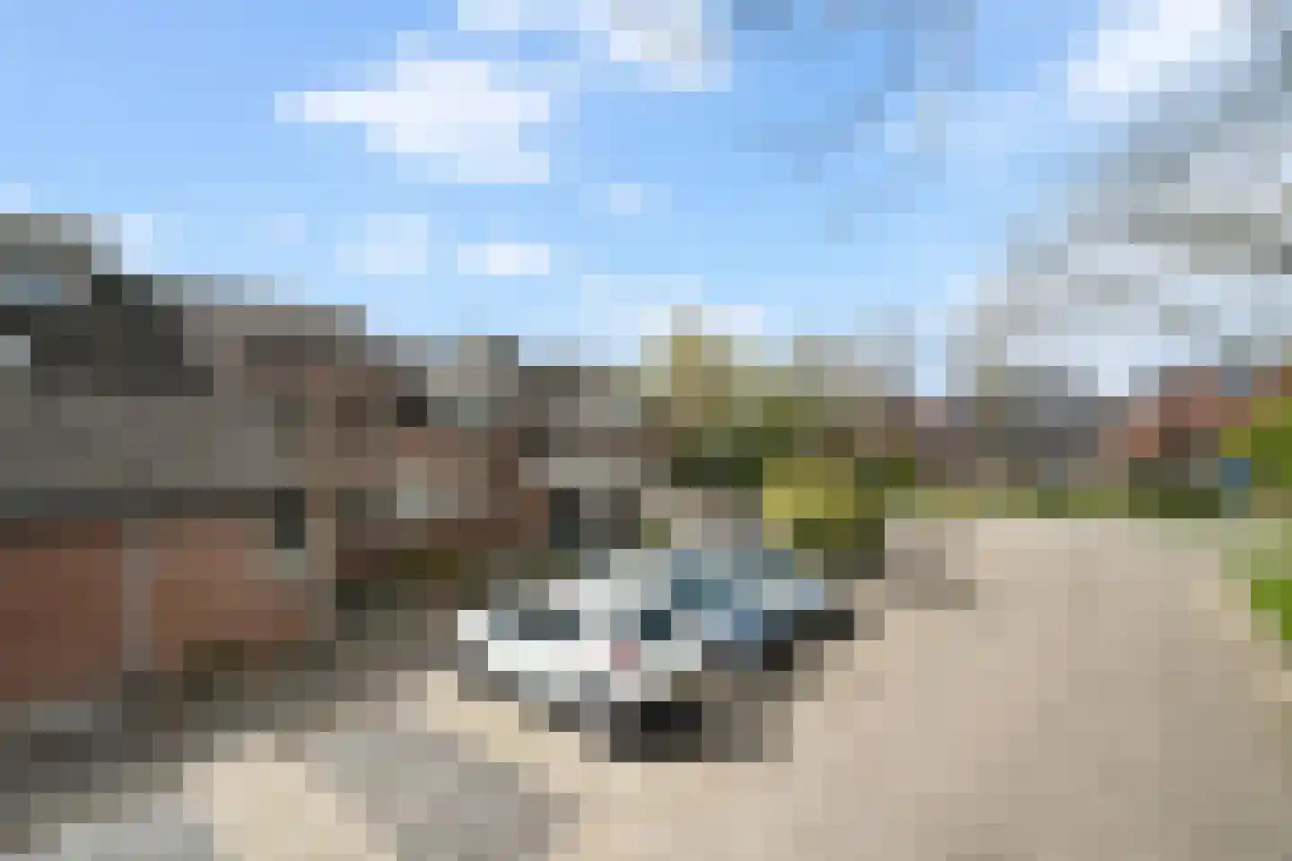 de Snoekbaars 47 Bergschenhoek thumbnail 35