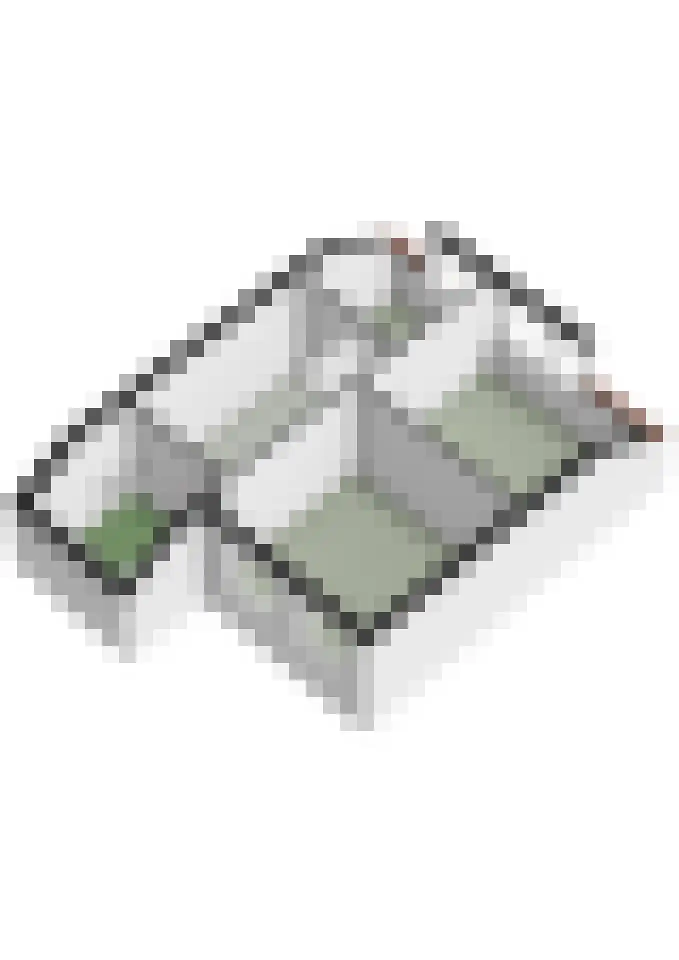 de Snoekbaars 47 Bergschenhoek thumbnail 43